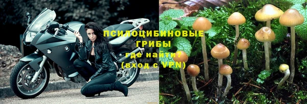 кокс Бикин